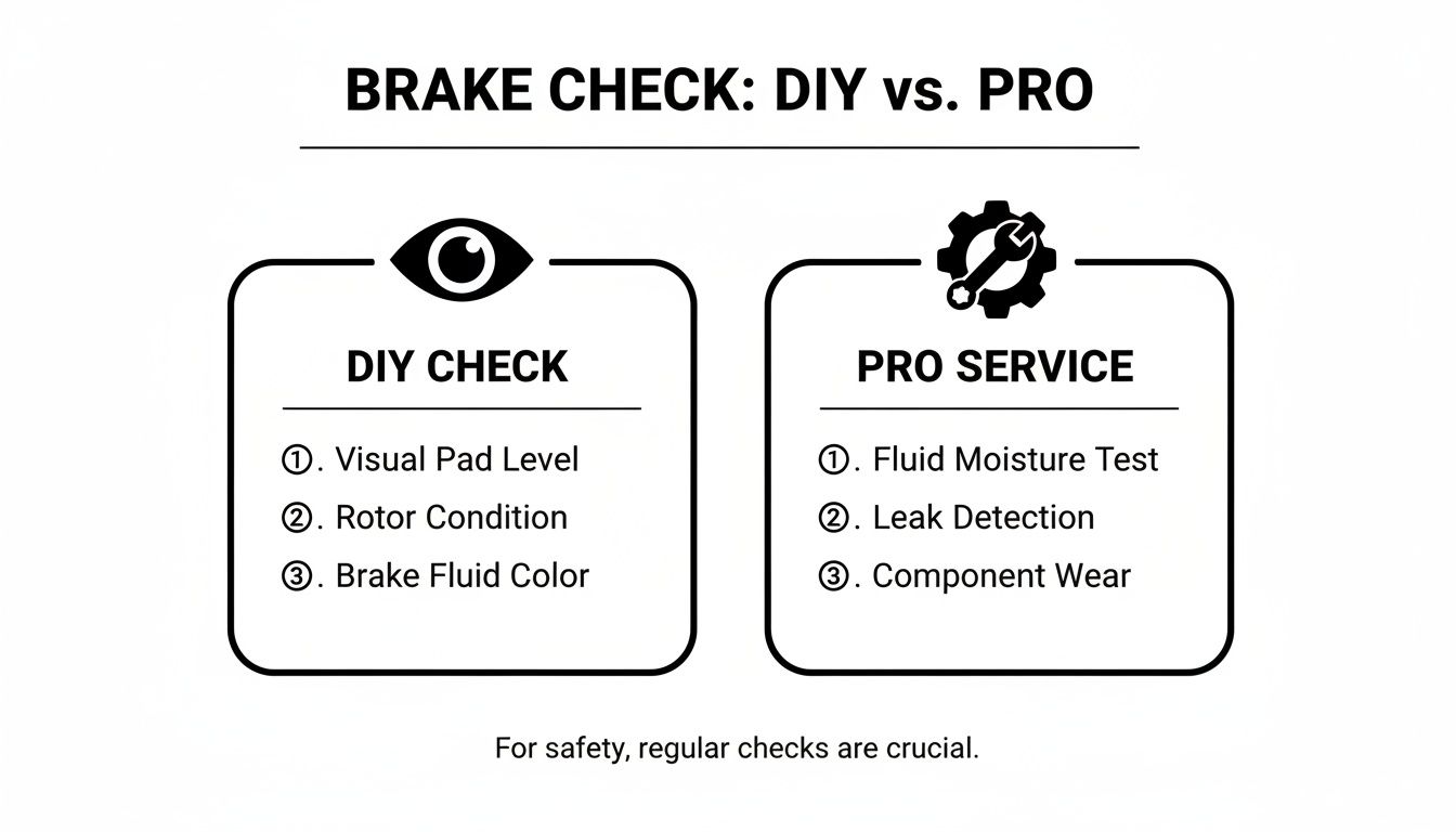 Comparison infographic for brake checks: DIY tasks (visual pad level, rotor, fluid color) versus pro service (fluid moisture, leak detection, component wear).