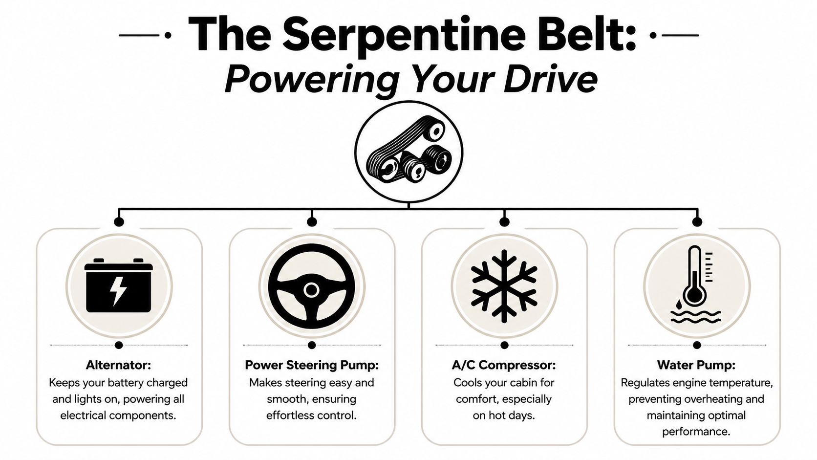 An infographic showing the car serpentine belt and the four essential components it powers.