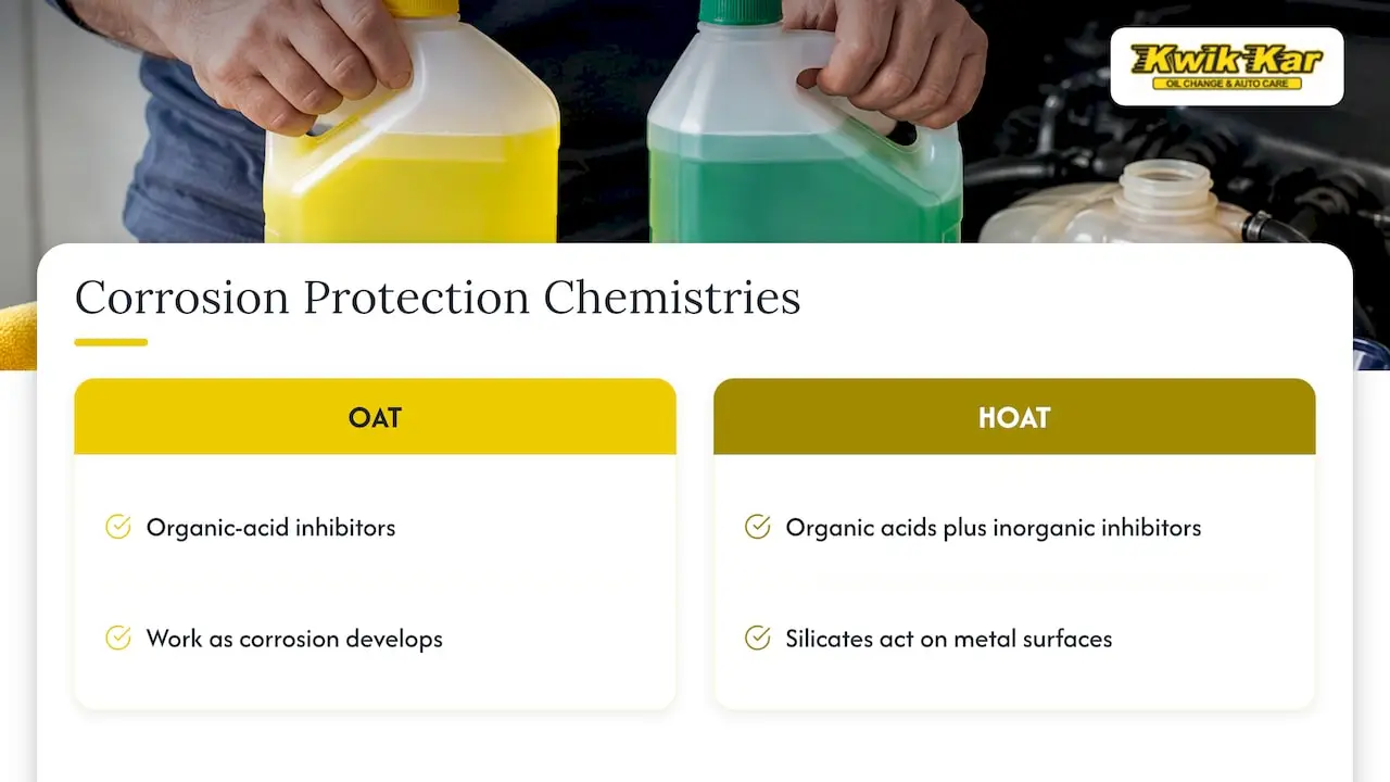 OAT and HOAT inhibitor protection compared